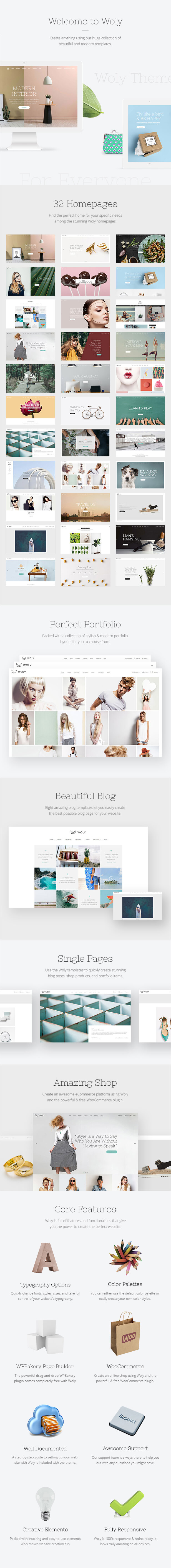 Woly - Multipurpose WordPress Theme - 1